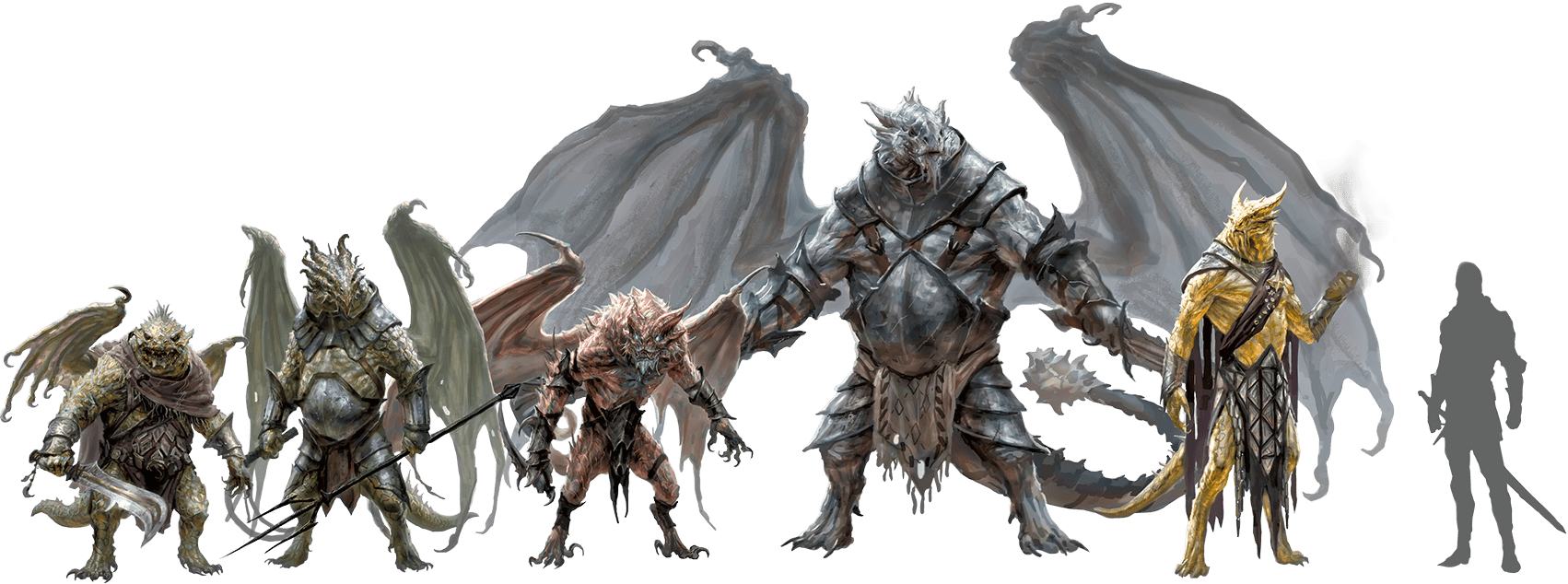 Display of the different draconian races